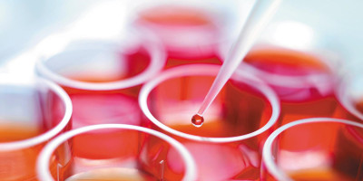 Curso híbrido Cultivo Celular: Metodologias Essenciais e Aplicação na Pesquisa, Biotecnologia e Medicina