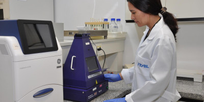 PCR em tempo real aplicado à análise de adulterações em produtos cárneos e lácteos