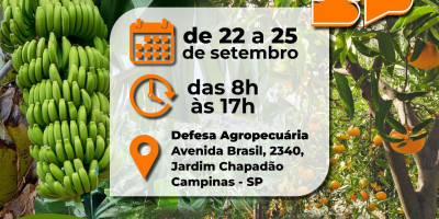 LXVI CURSO DE HABILITAÇÃO DE RESPONSÁVEIS TÉCNICOS PARA EMISSÃO DE CFO/CFOC