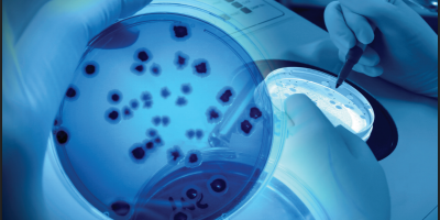 Curso Teórico-Prático Métodos de Análise Microbiológica de Alimentos