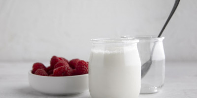 Curso Teórico Prático de Fabricação de Iogurtes e Bebidas Lácteas Fermentadas