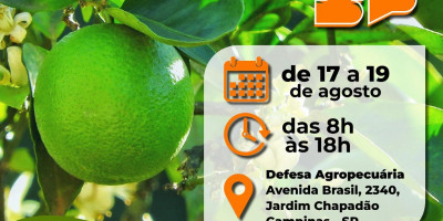 LXVII CURSO DE HABILITAÇÃO DE RESPONSÁVEIS TÉCNICOS PARA EMISSÃO DE CFO/CFOC