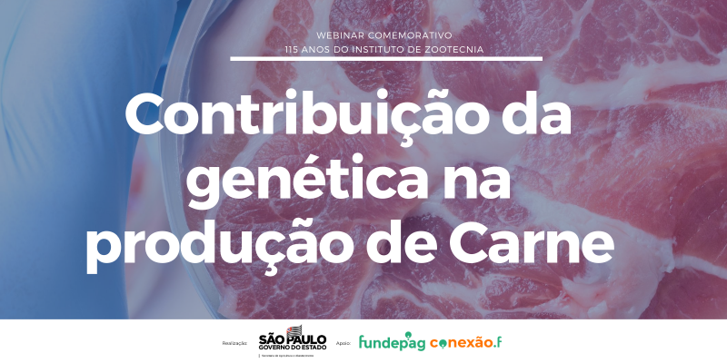 Webinar: Contribuição genética na produção de carne