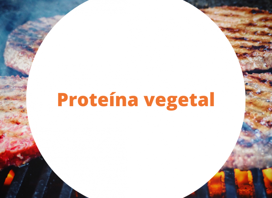 Imagem: Artigo: A revolução da proteína vegetal análoga à carne