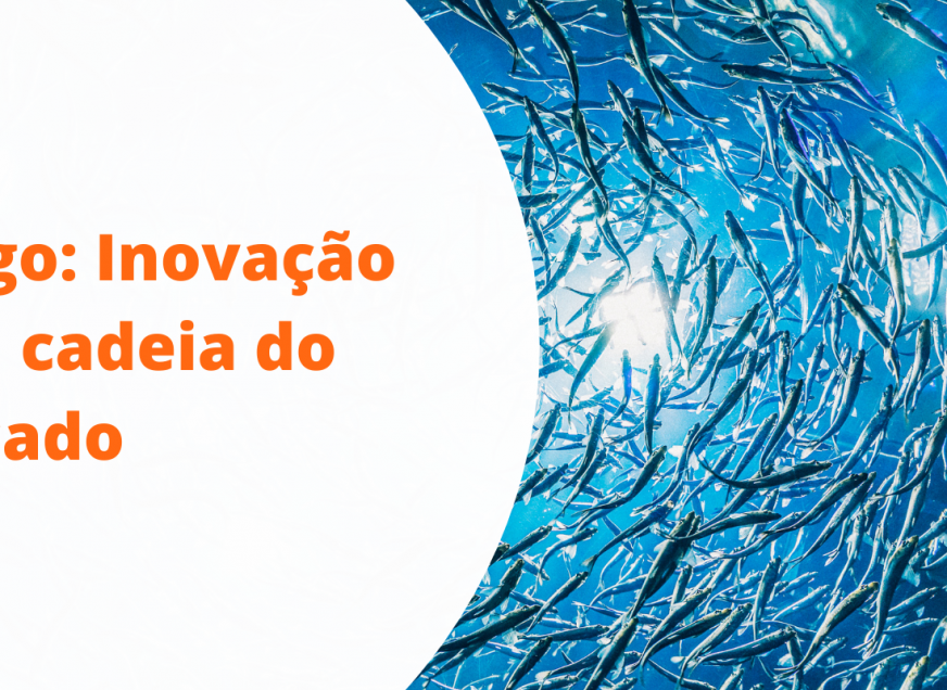 Imagem: Artigo: Inovação é o caminho para o crescimento da cadeia do pescado