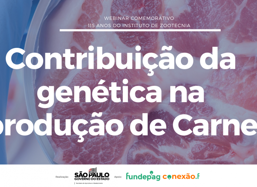 Imagem: Webinar: Contribuição genética na produção de carne