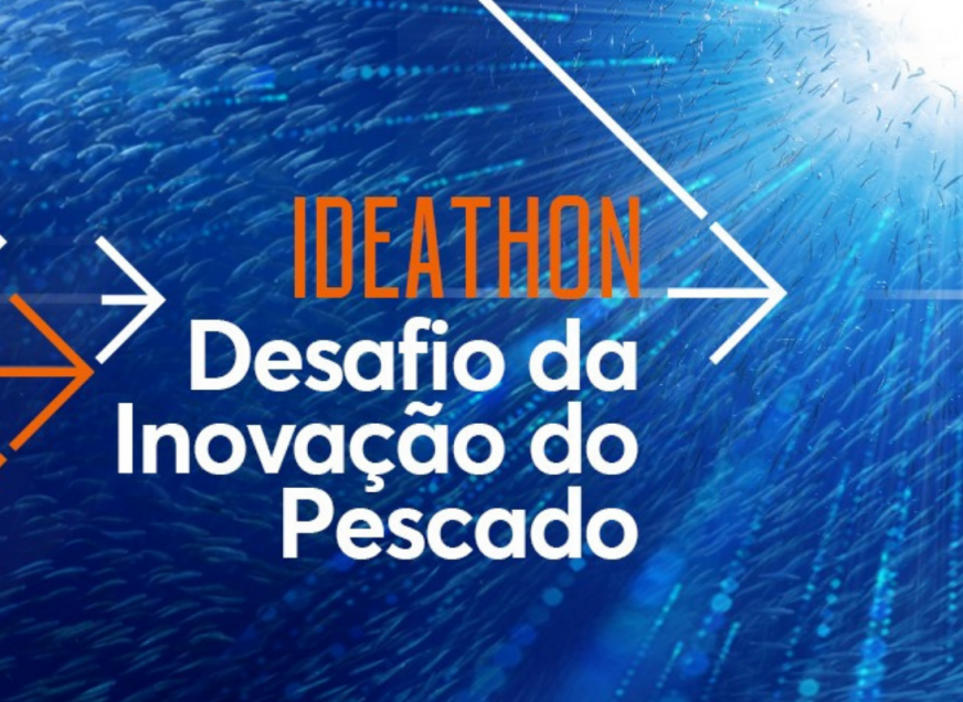Imagem: Os desafios de inovação no setor do pescado