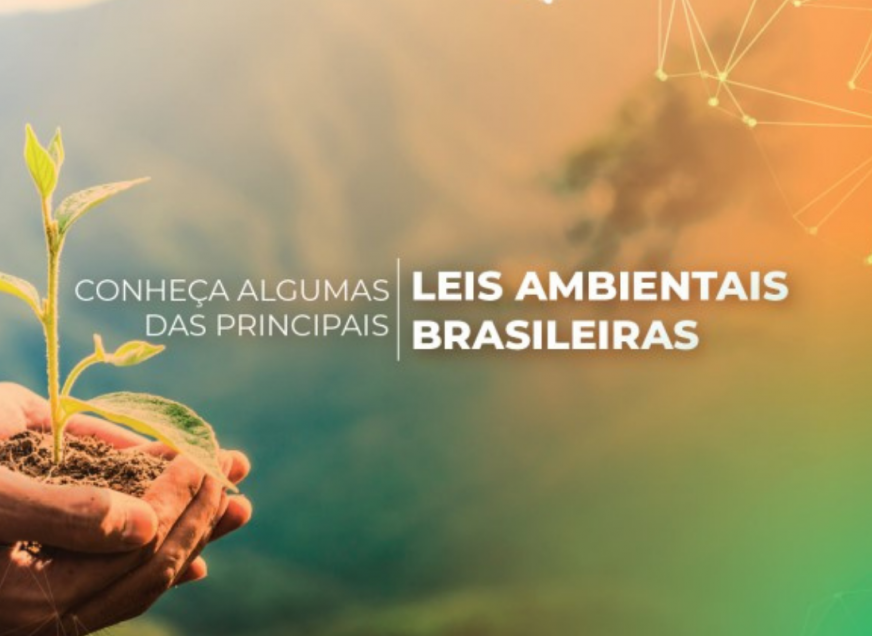 Imagem: Principais leis ambientais brasileiras