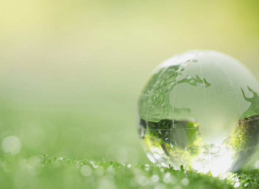 Imagem: O que é greenwashing, quais os riscos e como evitá-lo?