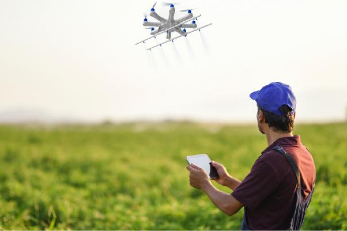 Imagem: O cenário das Agtechs cresce e já são cerca de 338 startups de tecnologia agrícola no Brasil