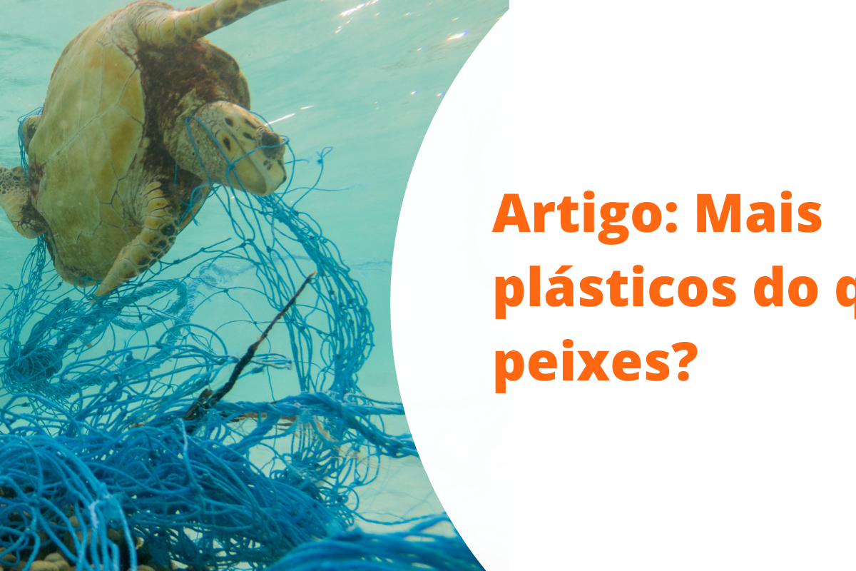 Imagem: Artigo: A gestão sustentável dos petrechos utilizados na pesca e aquicultura