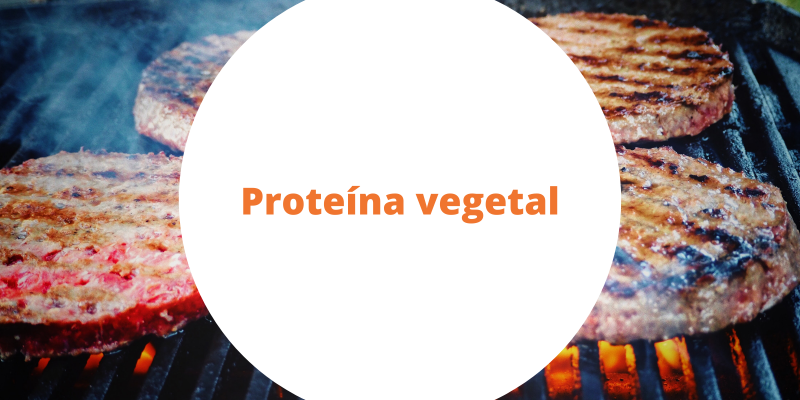 Artigo: A revolução da proteína vegetal análoga à carne