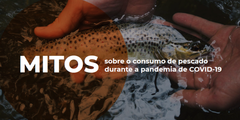Informativo: Mitos sobre o consumo de pescado durante a pandemia de COVID-19