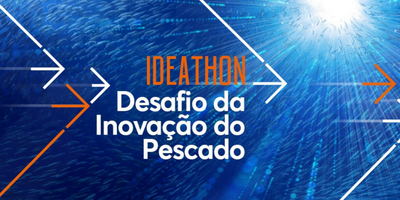 Os desafios de inovação no setor do pescado