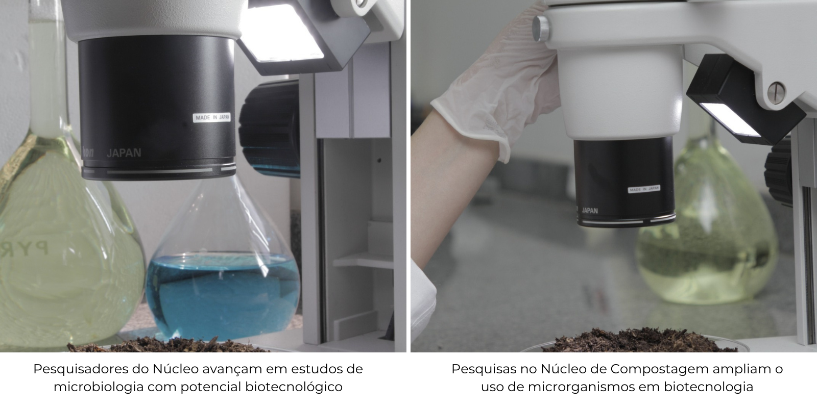 Núcleo de compostagem em São Paulo transforma resíduos orgânicos em tecnologia sustentável