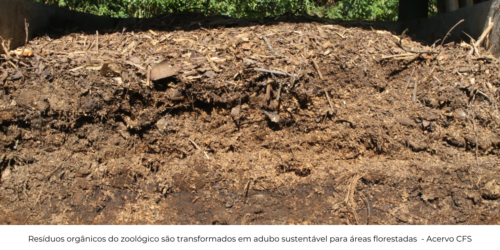 Núcleo de compostagem em São Paulo transforma resíduos orgânicos em tecnologia sustentável